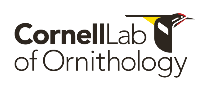 Cornell Lab of Ornithology, color stacked variant, cell 505