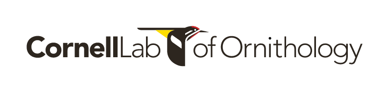 Cornell Lab of Ornithology, color horizontal variant, cell 505