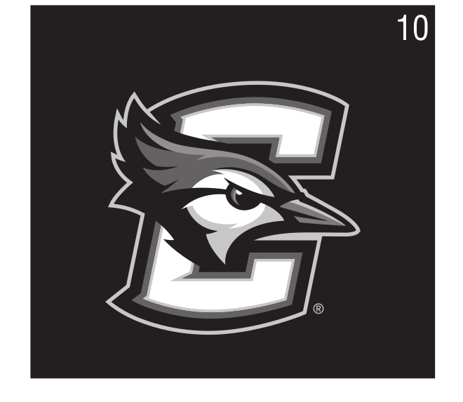 Bluejay head in 'C' lettermark, black/white on gray variant, cell 10