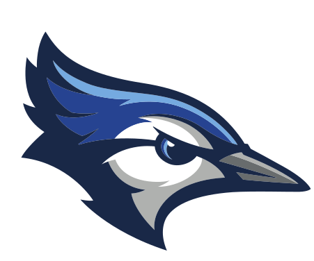 Bluejay head, full color on white variant, cell 37
