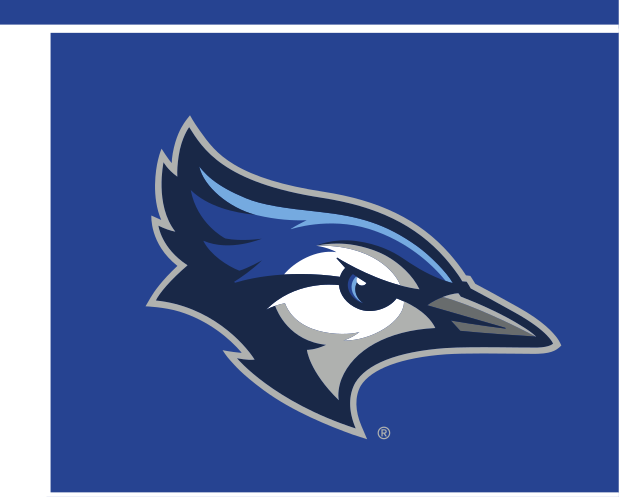 Bluejay head, full color on blue variant, cell 38