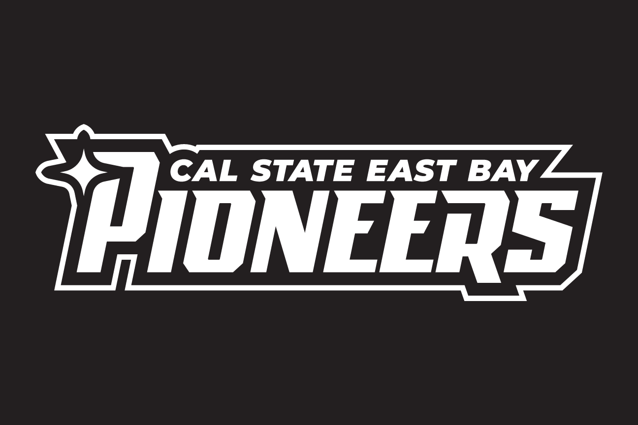 Pioneers wordmark, white/black on black variant, cell 62