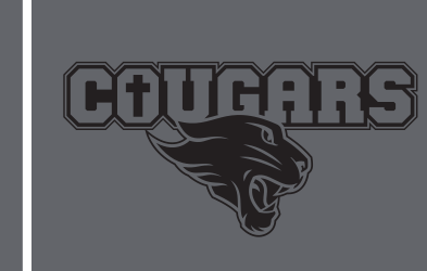Cougars lockup, grey/black variant, cell 78