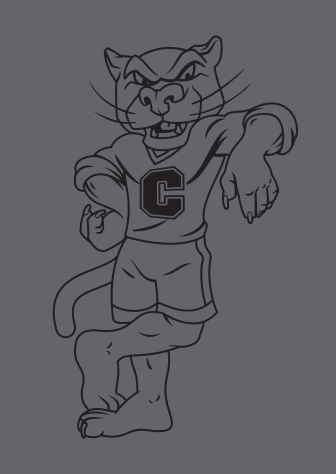 Charlie T., walking, black/grey variant, cell 110