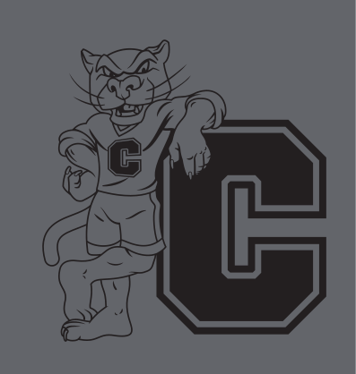 Charlie T. with C, black/grey variant, cell 115
