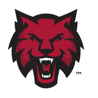 Wildcat head, athletics secondary, color variant, cell 9