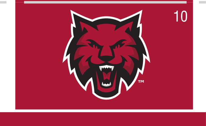 Wildcat head, athletics secondary, color on crimson variant, cell 10