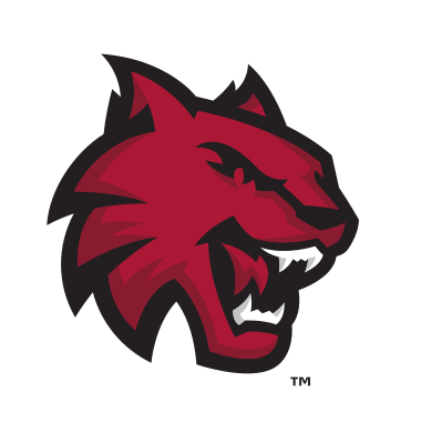 Wildcat head, institutional spirit, color variant, cell 13
