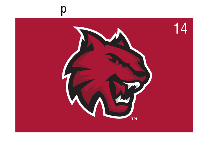 Wildcat head, institutional spirit, color on crimson variant, cell 14
