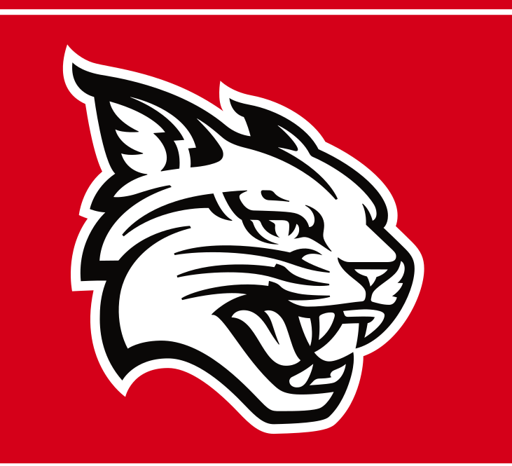 Wildcat Head, black outline on red variant, cell 39