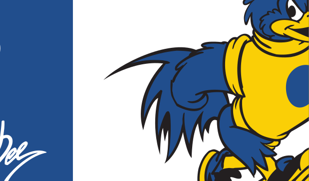 Football helmet, blue and yellow variant, cell 14