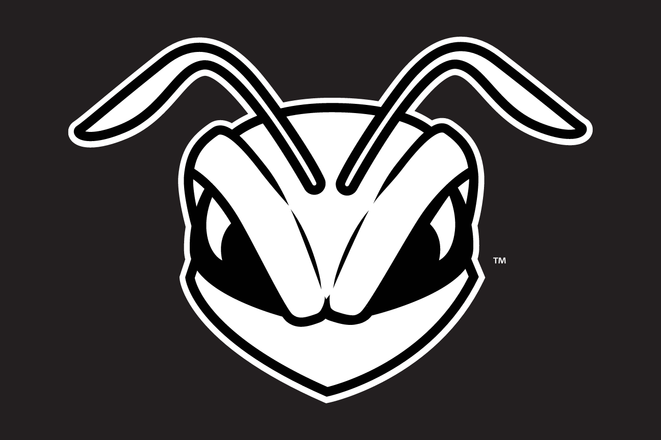 Hornet head, white outline on black variant, cell 16