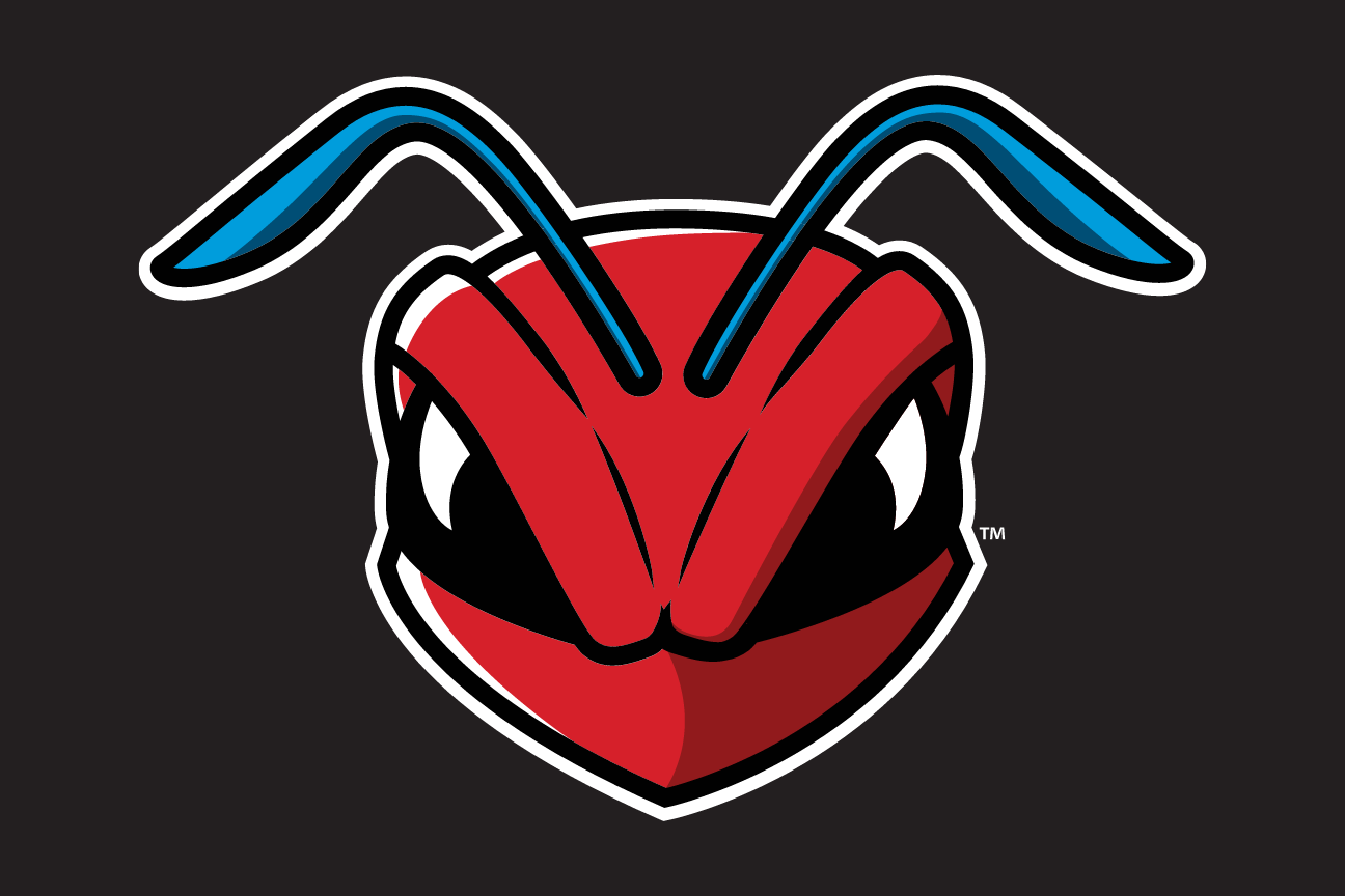 Hornet head, color on black variant, cell 17