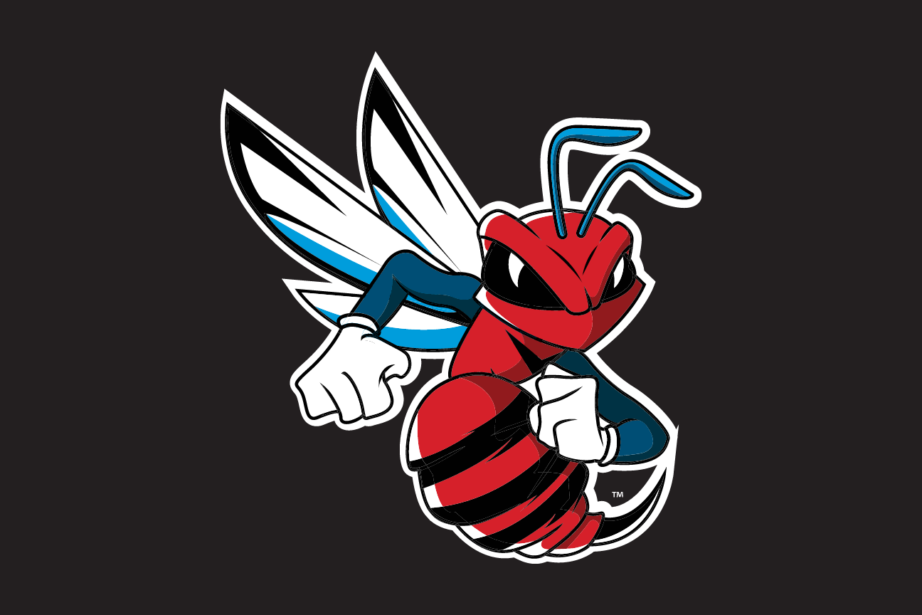 Hornet mascot, color on black variant, cell 20