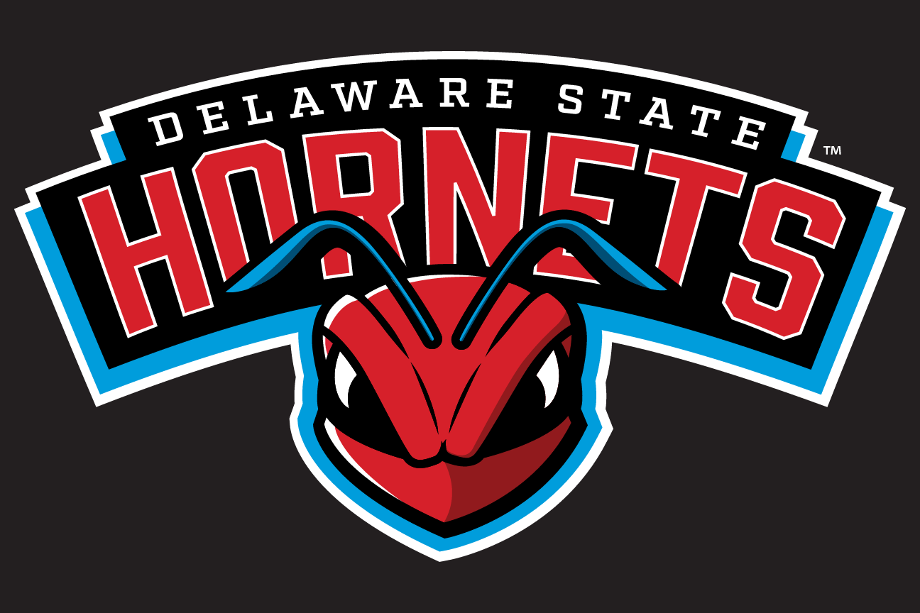 Hornets wordmark with head, color on black variant, cell 24