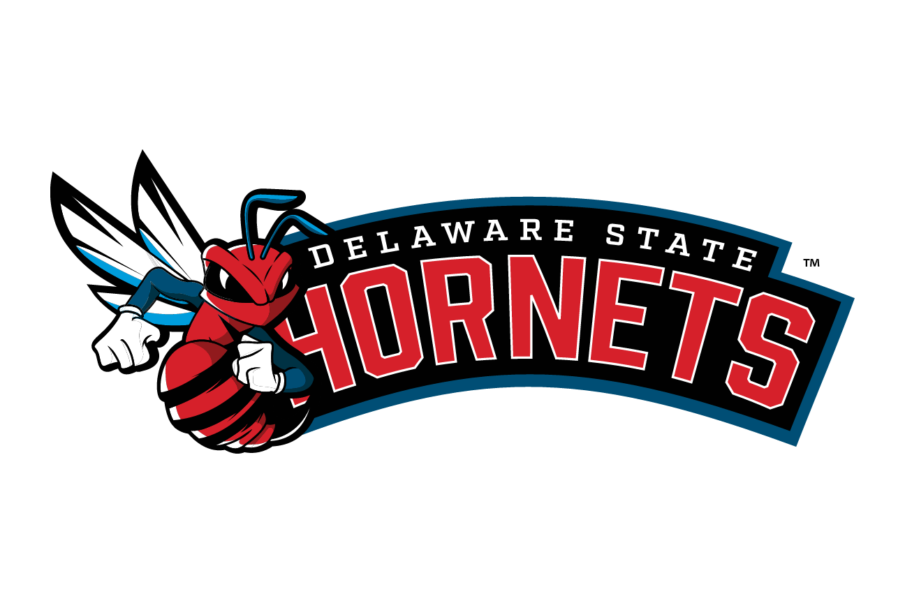 Hornets wordmark with mascot, color variant, cell 26