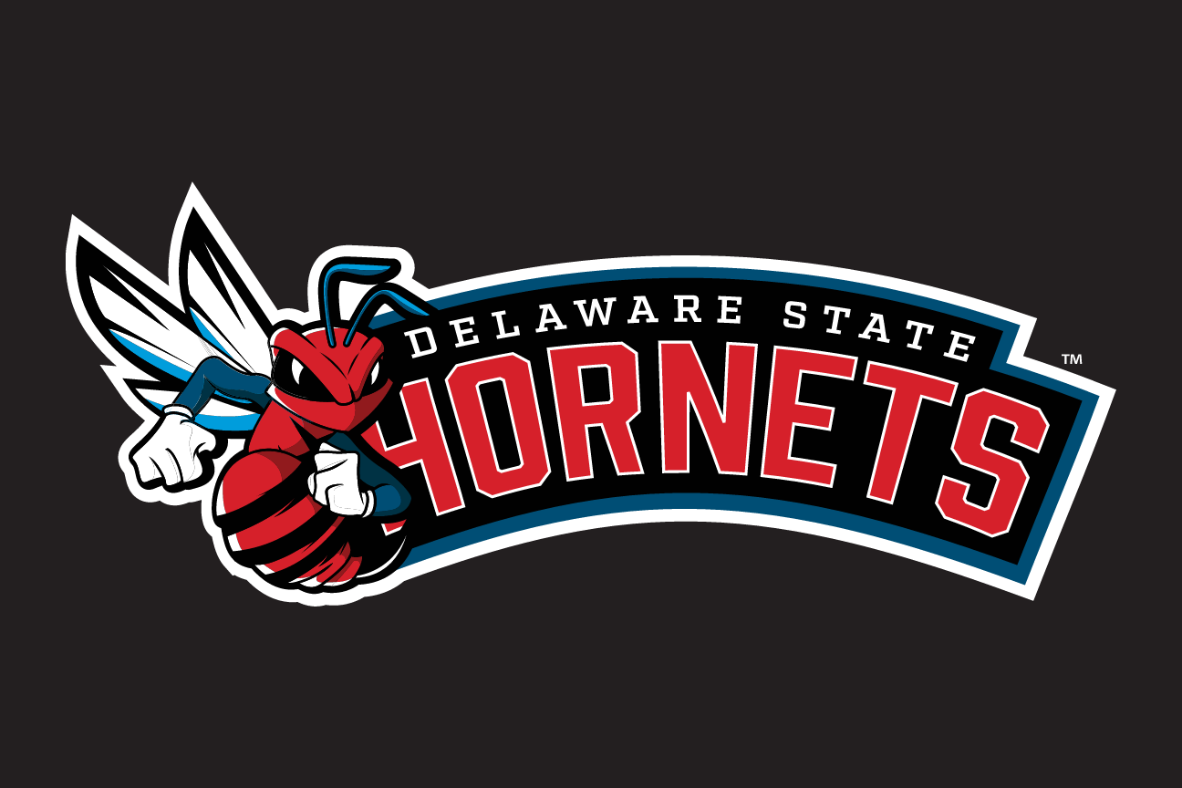 Hornets wordmark with mascot, color on black variant, cell 27