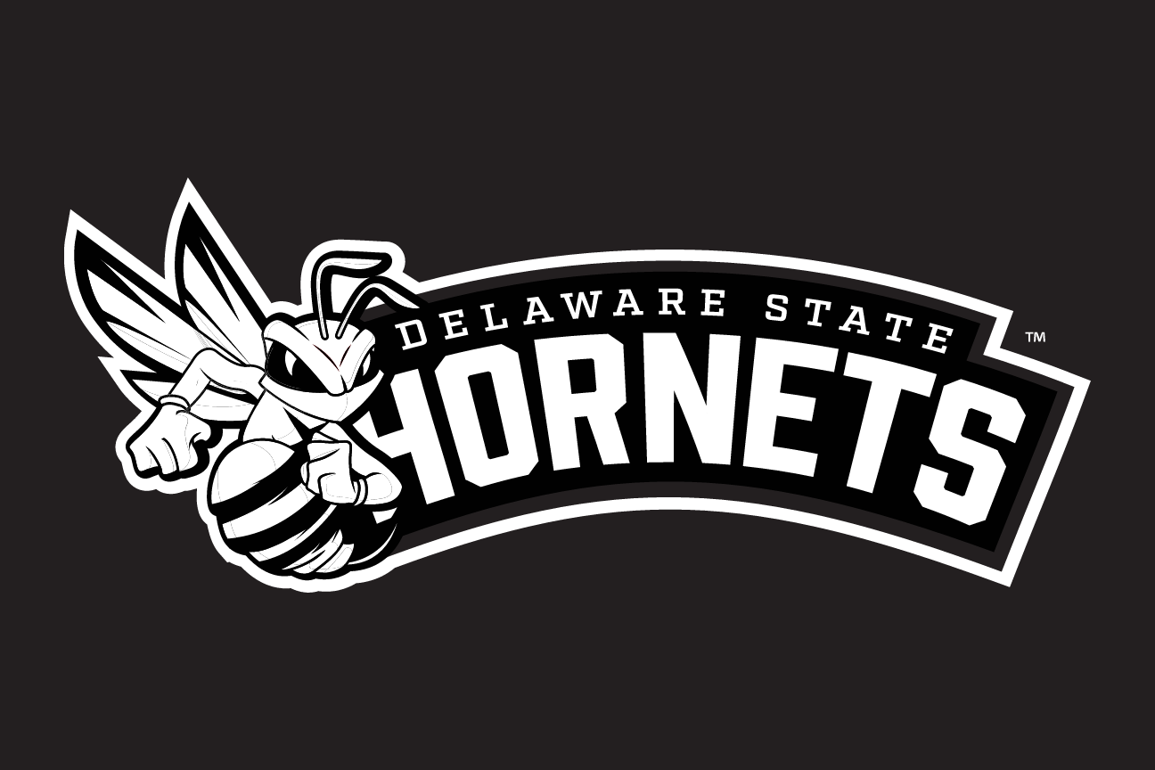 Hornets wordmark with mascot, white outline on black variant, cell 29