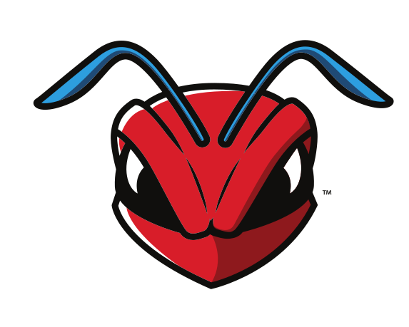 Hornet head, color variant, cell 15
