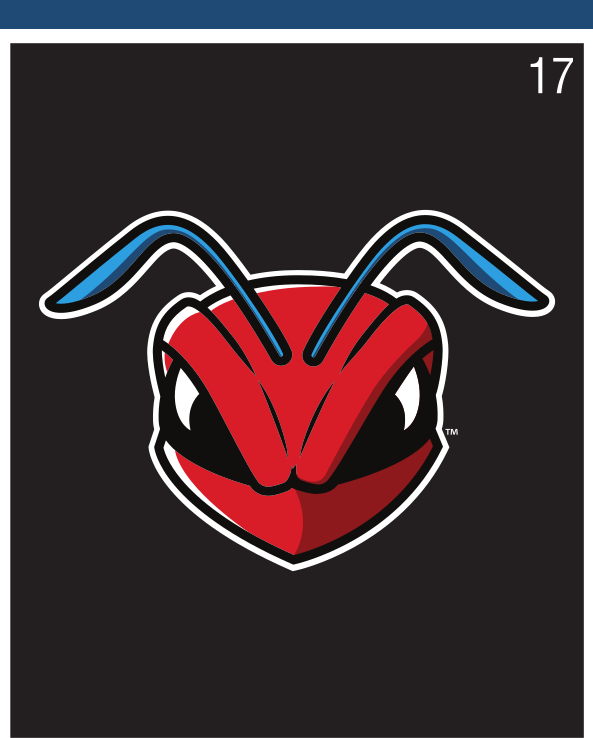 Hornet head, color on black variant, cell 17