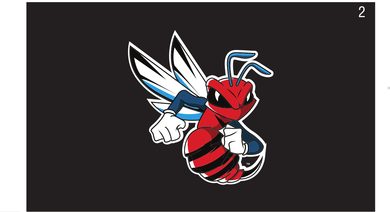 Hornet mascot, color on black variant, cell 20