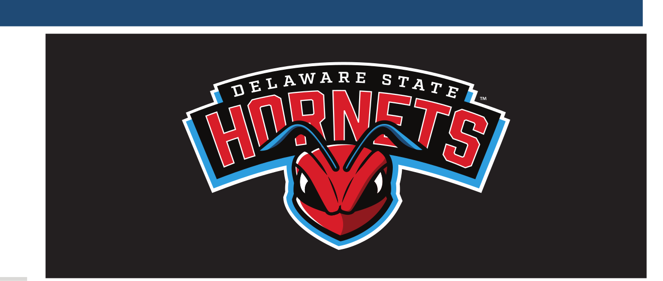 Hornets wordmark with head, color on black variant, cell 24
