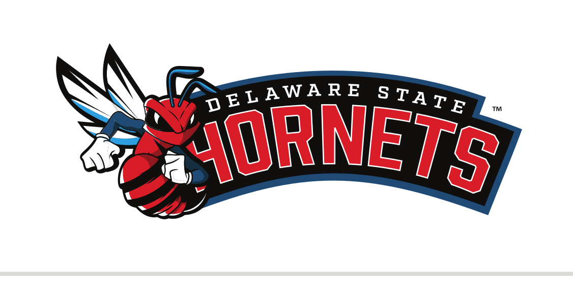 Hornets wordmark with mascot, color variant, cell 26