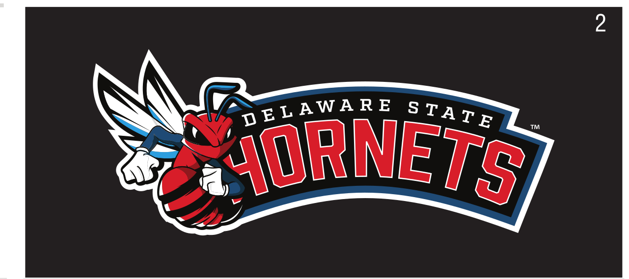 Hornets wordmark with mascot, color on black variant, cell 27