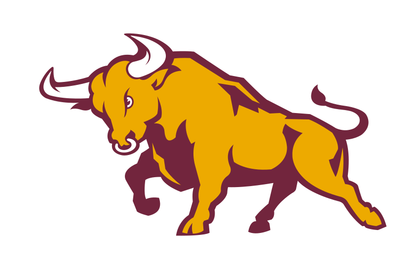 bull mark, full color variant, cell 11