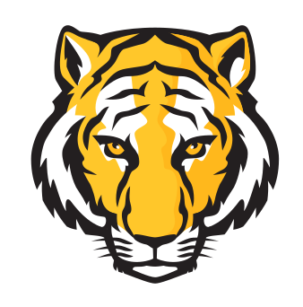 Tiger head mascot, color variant variant, cell 17