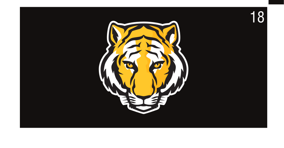 Tiger head mascot, color variant on black variant, cell 18