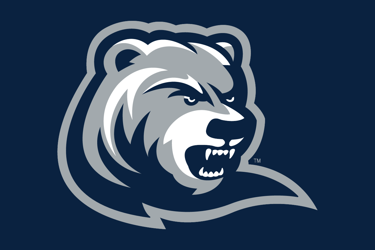 Ranger Bear head, color, on dark blue variant, cell 8