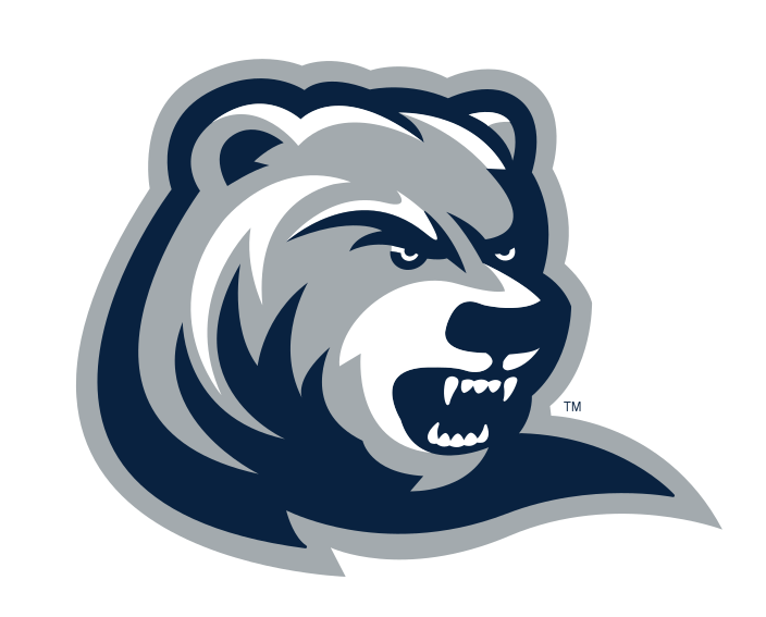 Ranger Bear head, color variant, cell 7
