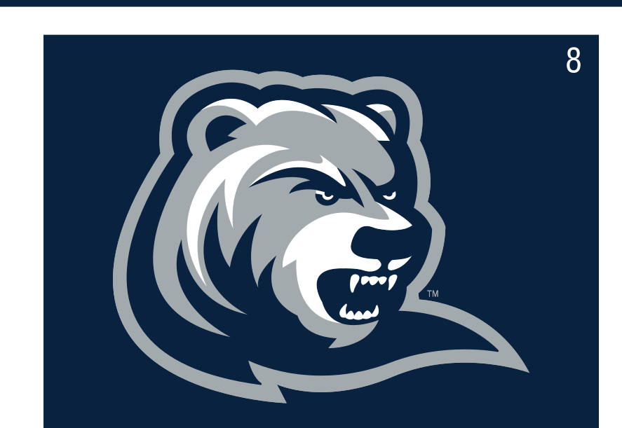 Ranger Bear head, color, on dark blue variant, cell 8