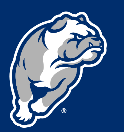 Bulldog head logo, full color on navy variant, cell 10