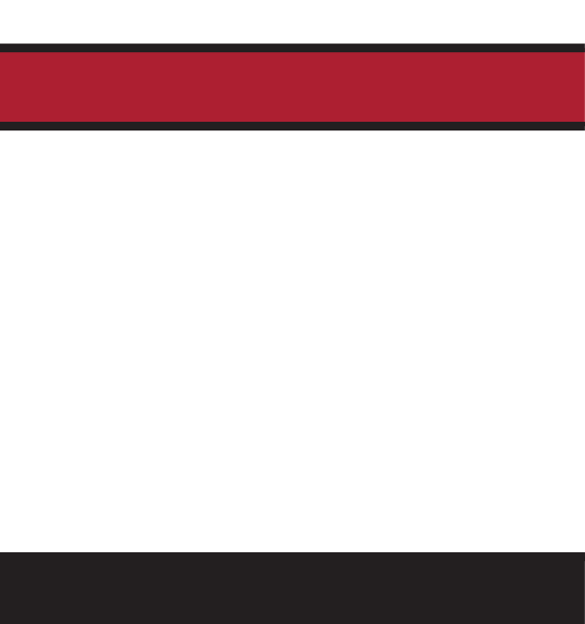 Denison wordmark, black on white variant, cell 3