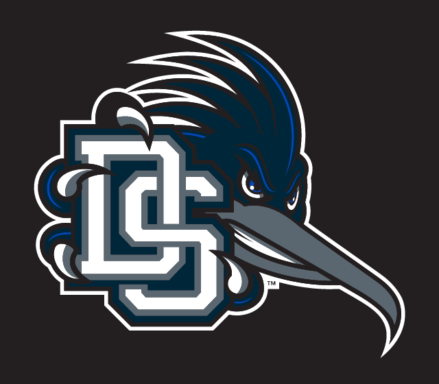 Roadrunner Head with DS, full color on dark variant, cell 27