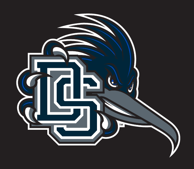 Roadrunner Head with DS, full color on dark variant, cell 29
