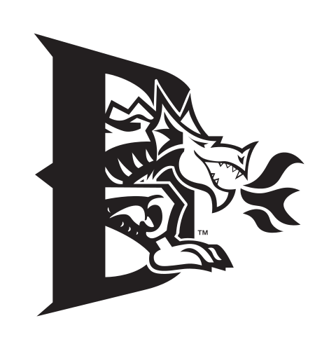 D dragon lettermark, black and white variant, cell 21