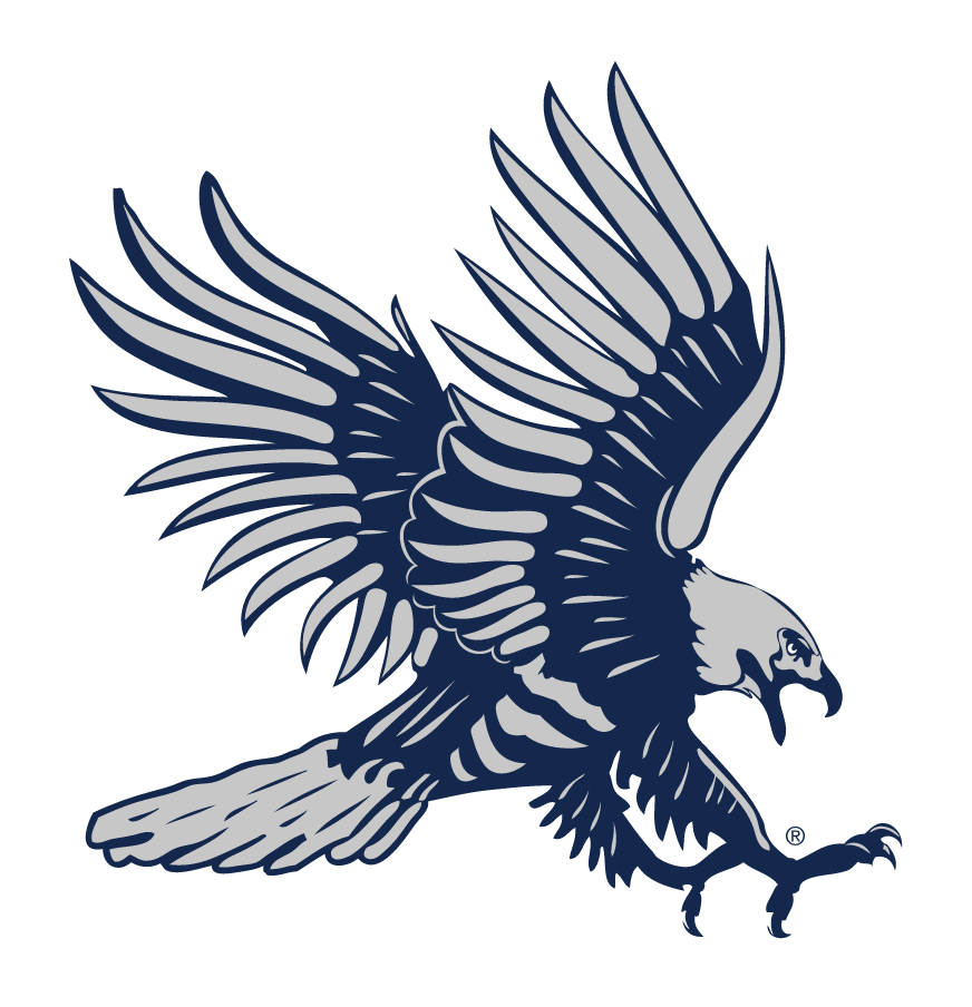 Primary Athletic Mark, blue and grey variant, cell 24