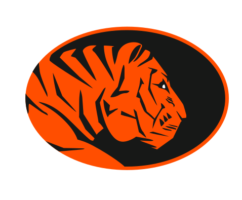 Tiger spirit oval, color variant, cell 8