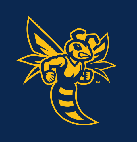 EH Wasp Icon, 1 color gold, blue BG variant, cell 11