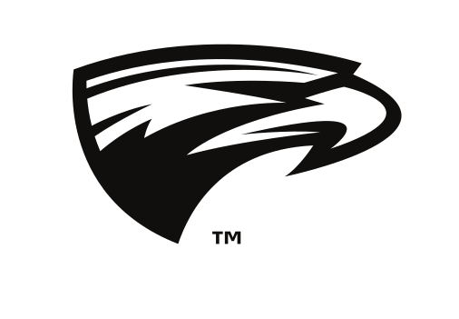 Emory Eagles head, black variant, cell 39