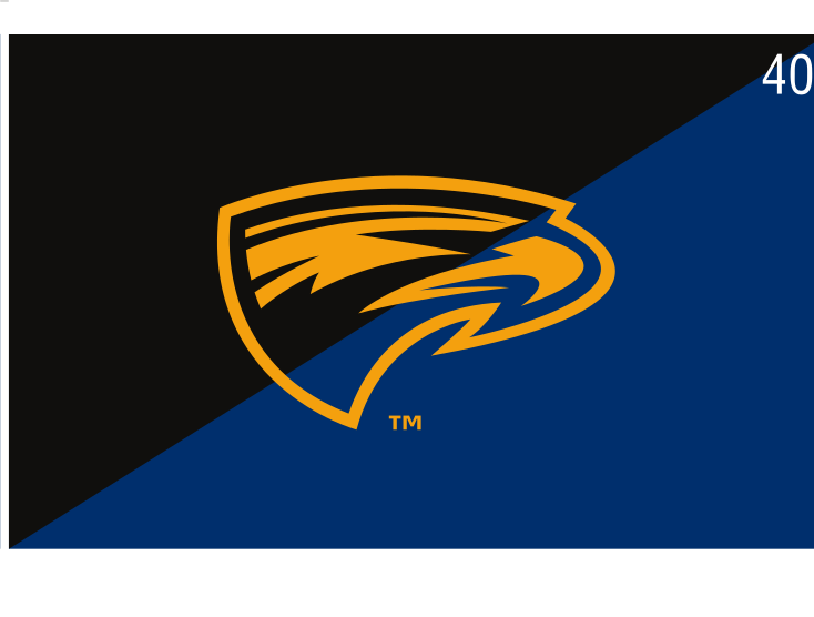 Emory Eagles head, gold on navy/black variant, cell 40