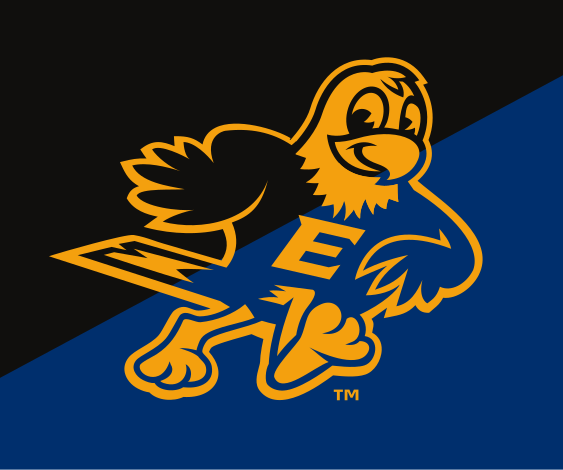 Swoop mascot, full color, facing left, on split background variant, cell 76
