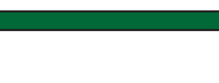 straight ENMU Greyhounds wordmark with head, full color variant, cell 13