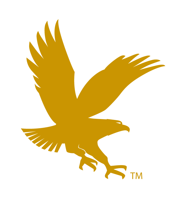 Embry-Riddle Aeronautical University eagle, gold variant, cell 11