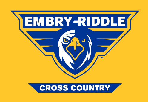 Embry-Riddle eagle head, full color with 'CROSS COUNTRY' text on gold background variant, cell 42