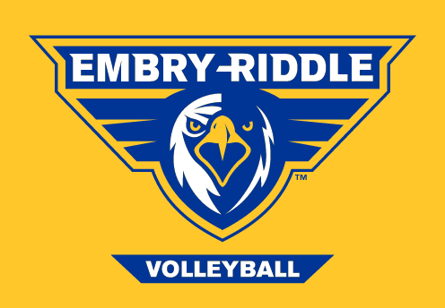 Embry-Riddle eagle head, full color with 'VOLLEYBALL' text on gold background variant, cell 62