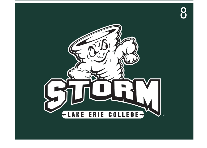 Storm mascot with full wordmark, white/black outline on green variant, cell 8